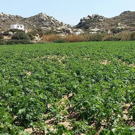 Lofos Kalamouria Plaka